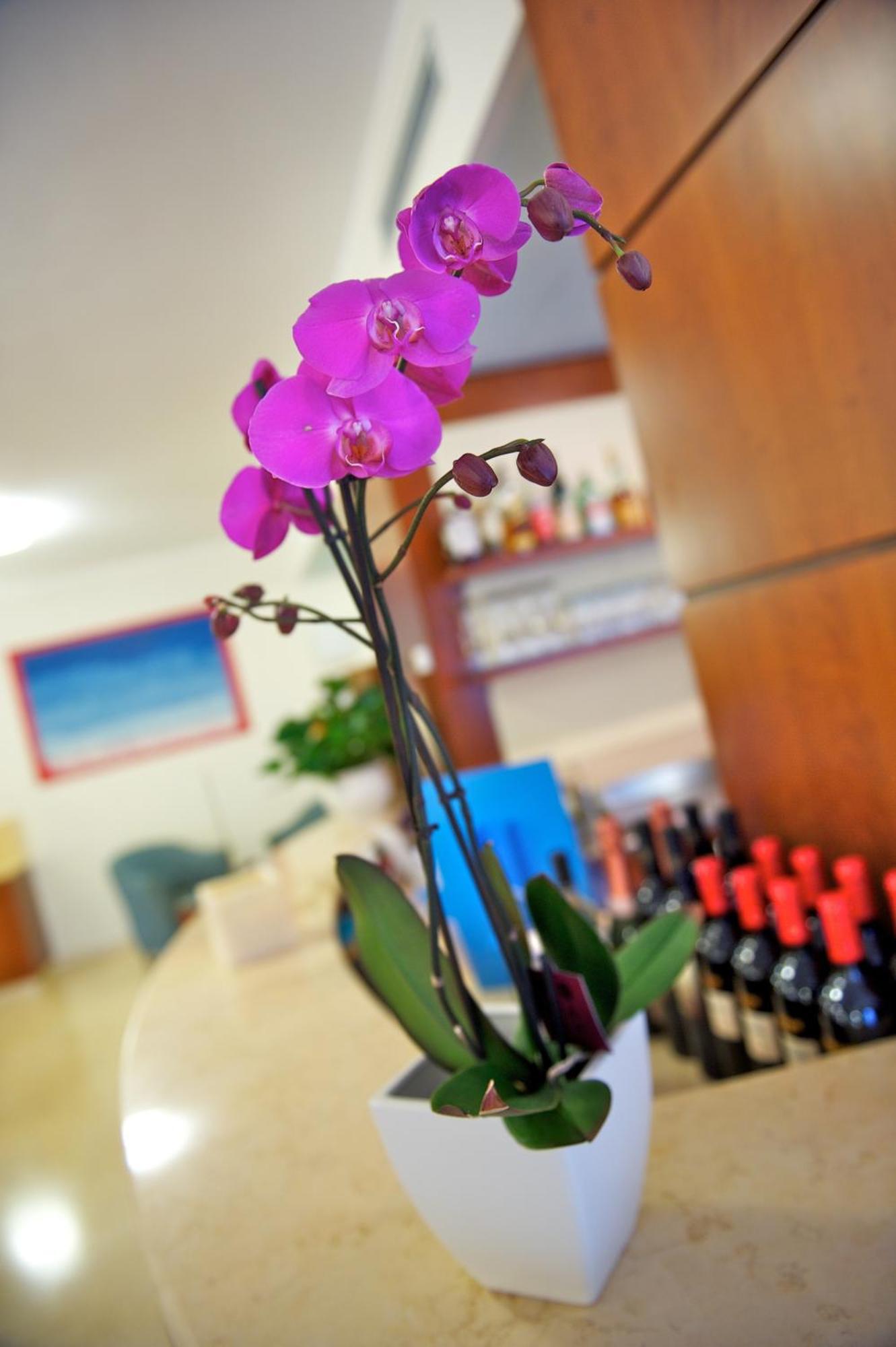 Hotel Garni Orchidea Malcesine Zewnętrze zdjęcie